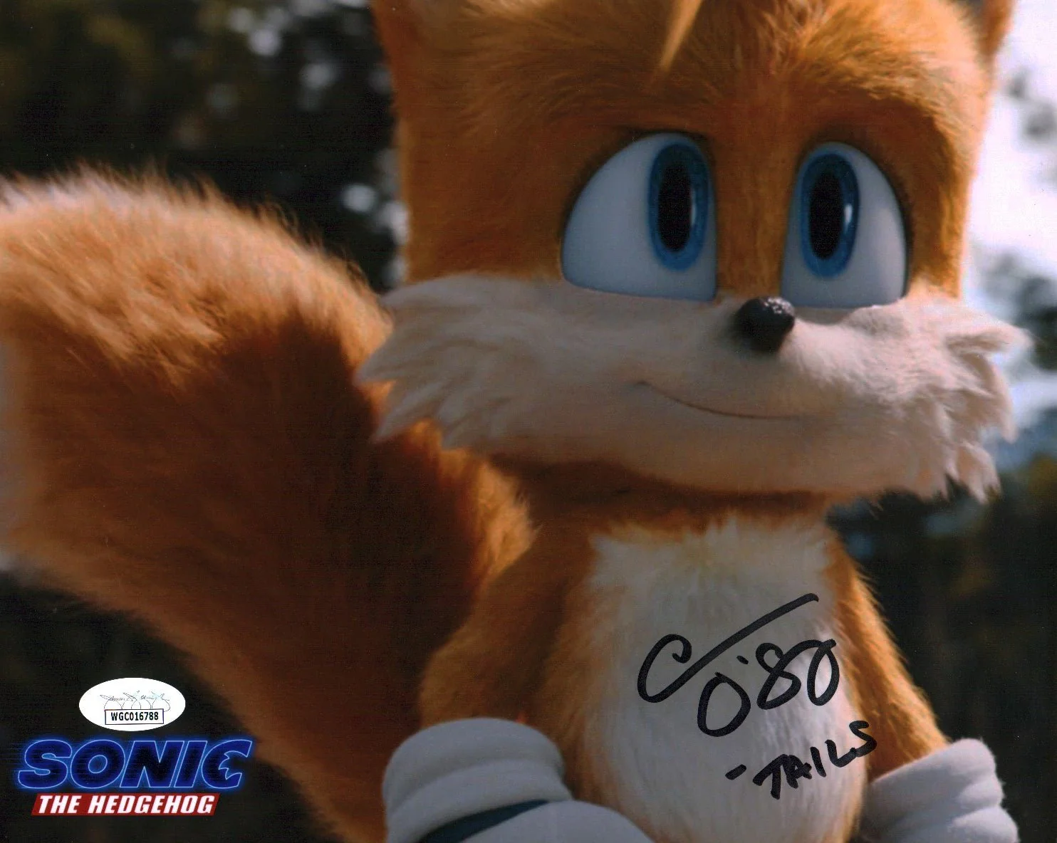 Colleen O'Shaughnessey "Tails" Sonic 8x10 Photo Signed JSA Certified Autograph