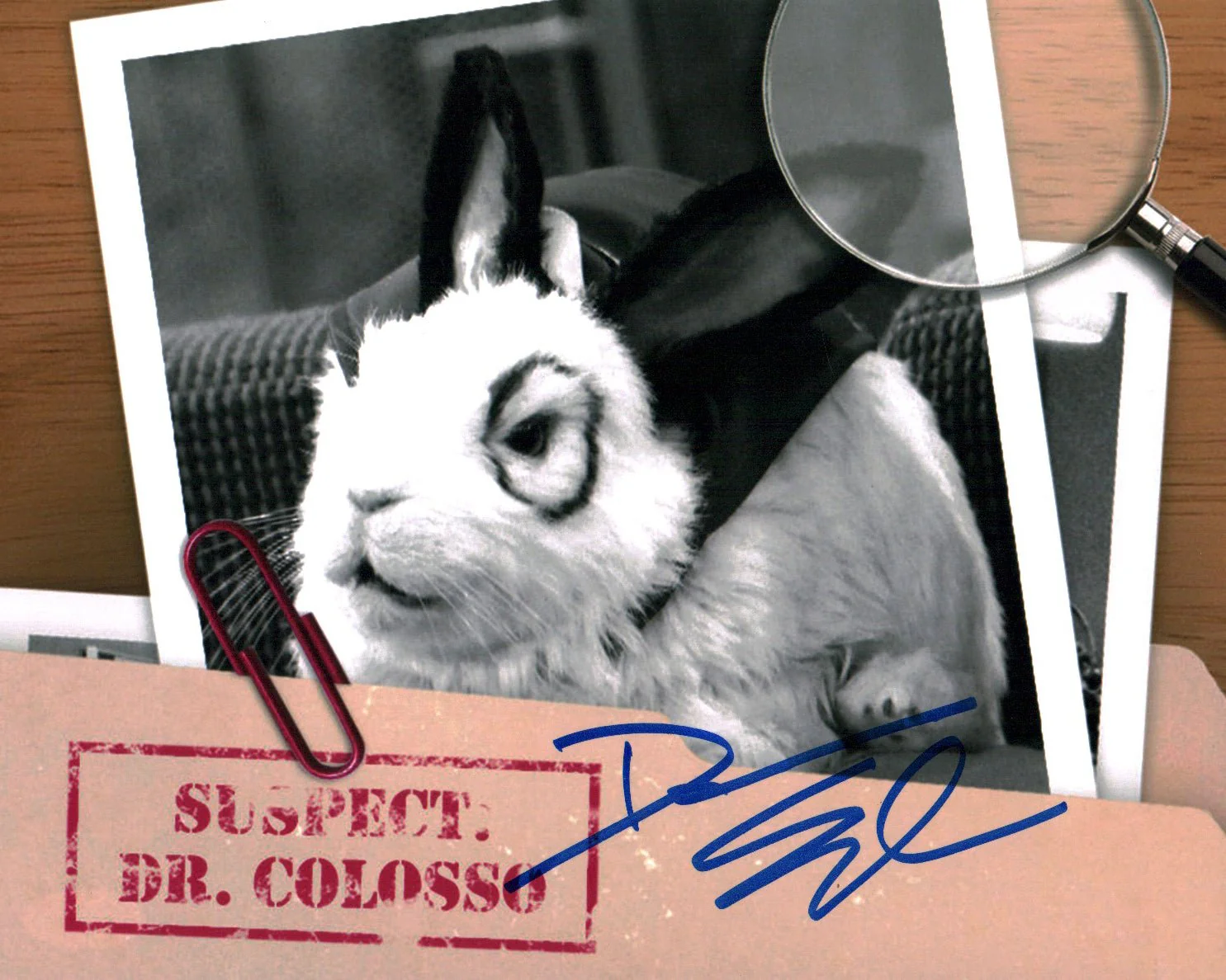 Thumbnail 1