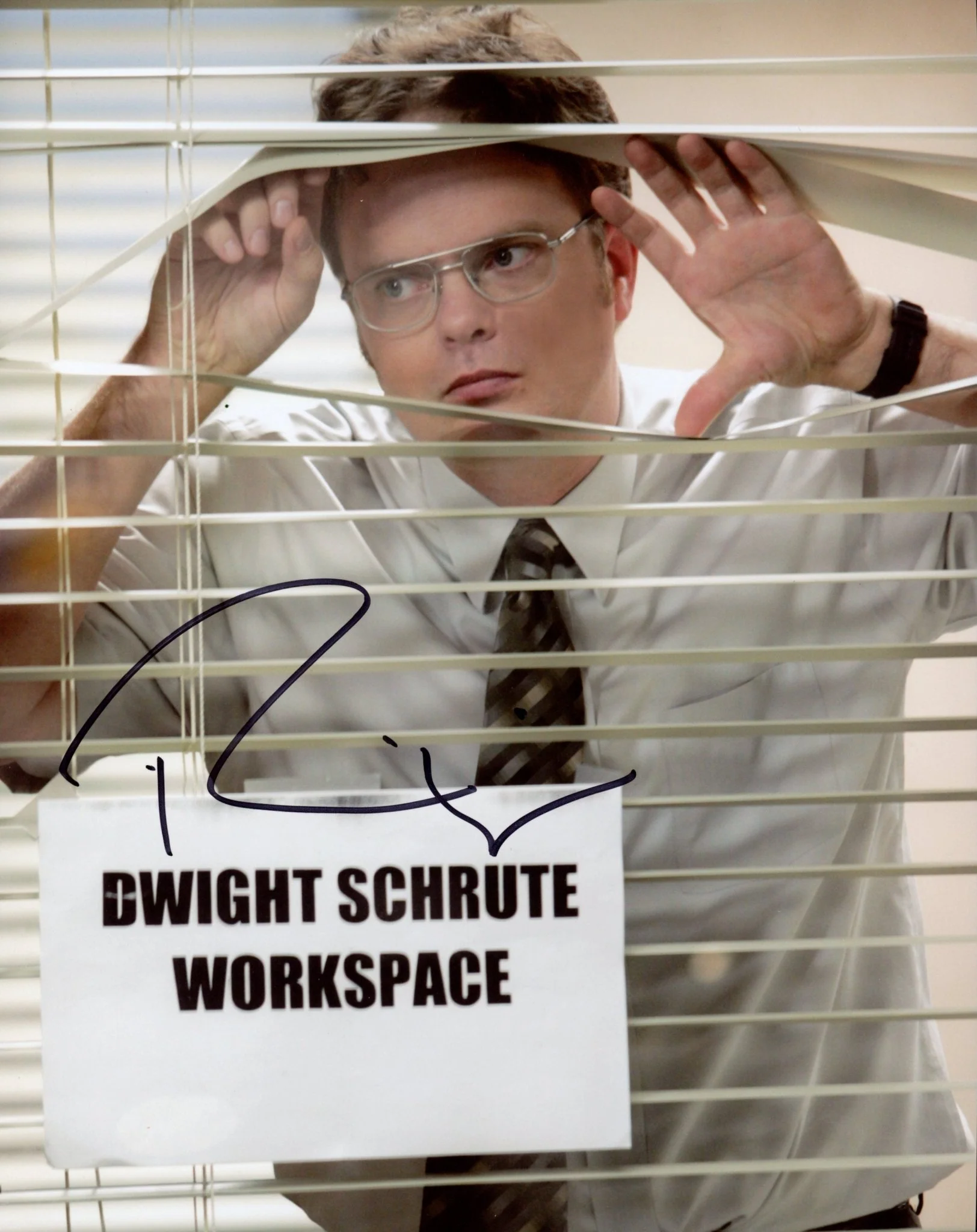 Rainn Wilson The Office 8x10 Signed Photo JSA Certified Autograph